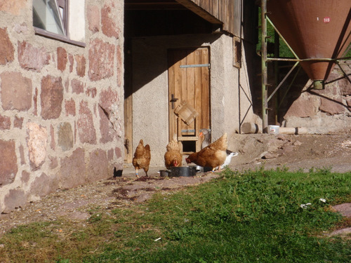 We pass through a friendly farm area.